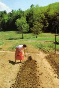 Preparing the Soil Image